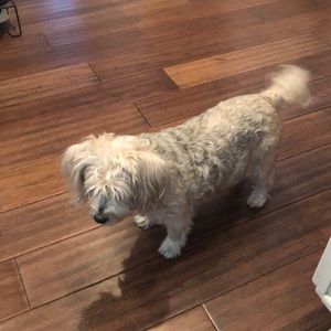 Meet your Posher, Sonia